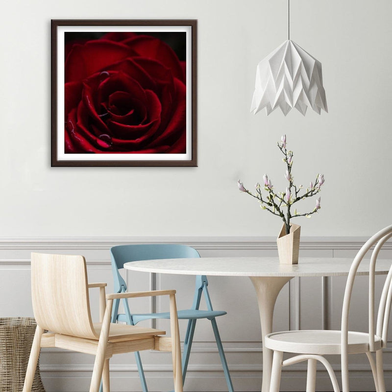 Glezna brūnā rāmī - Red Rose  Home Trends DECO