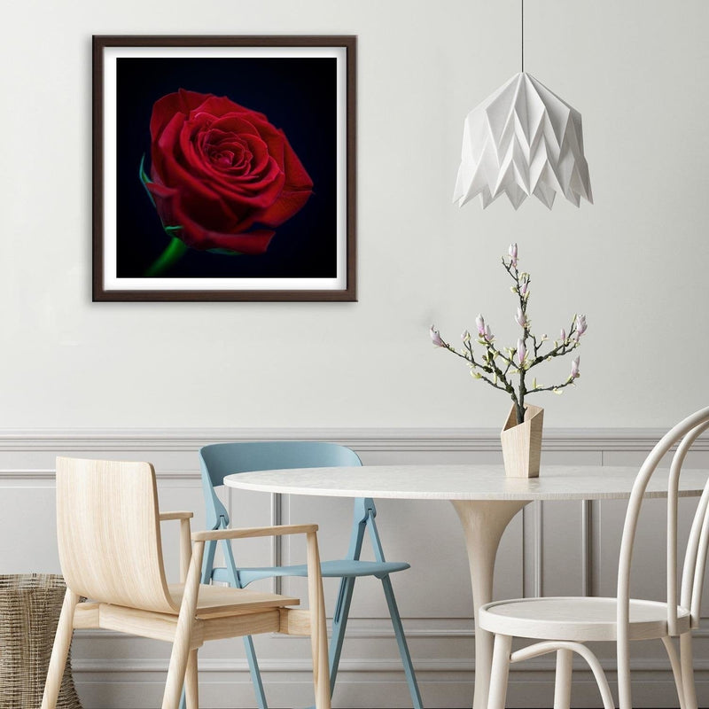 Glezna brūnā rāmī - Red Rose In The Dark  Home Trends DECO