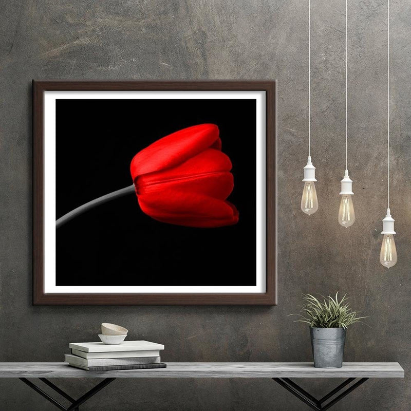 Glezna brūnā rāmī - Red Tulip  Home Trends DECO