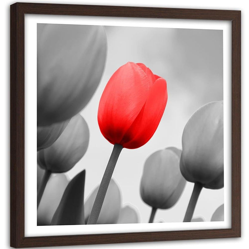 Glezna brūnā rāmī - Red Tulip In Gray  Home Trends DECO