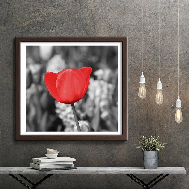 Glezna brūnā rāmī - Red Tulip On The Meadow  Home Trends DECO