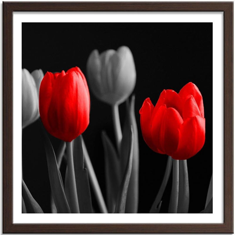 Glezna brūnā rāmī - Red Tulips  Home Trends DECO