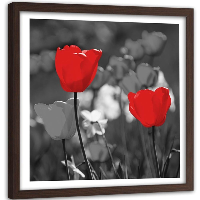 Glezna brūnā rāmī - Red Tulips In Gray  Home Trends DECO