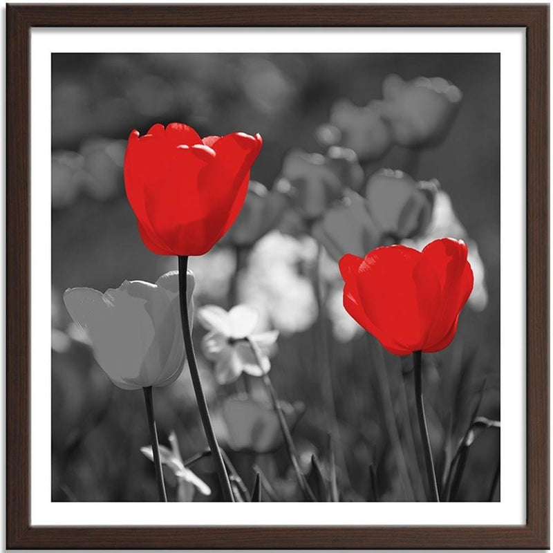 Glezna brūnā rāmī - Red Tulips In Gray  Home Trends DECO