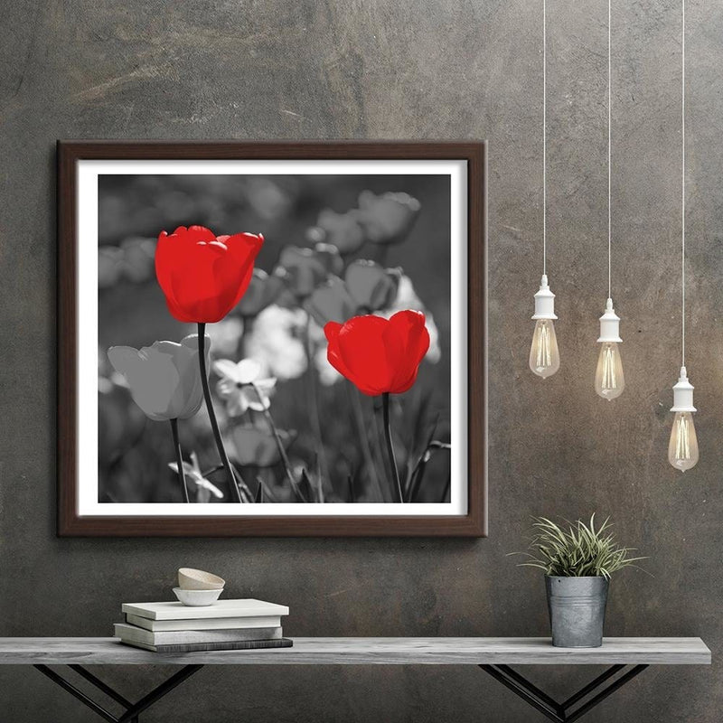 Glezna brūnā rāmī - Red Tulips In Gray  Home Trends DECO