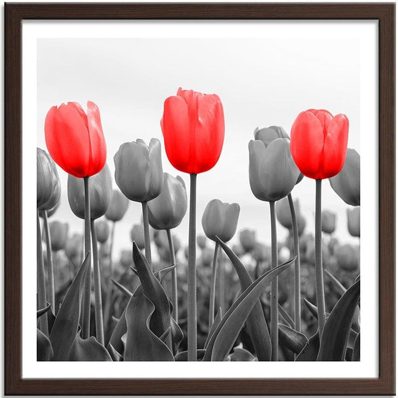 Glezna brūnā rāmī - Red Tulips On The Meadow  Home Trends DECO