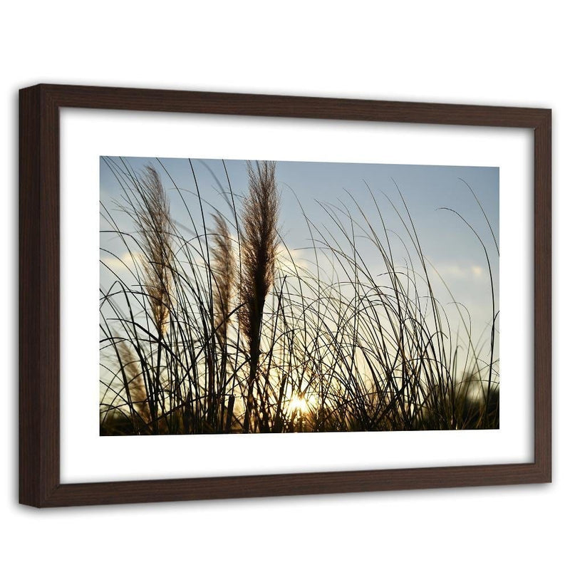 Glezna brūnā rāmī - Reed In The Sun  Home Trends DECO