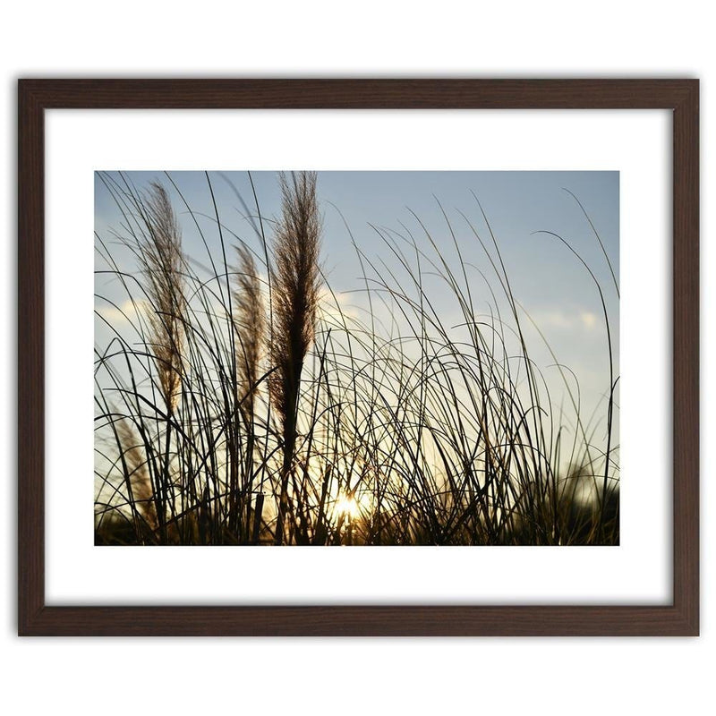 Glezna brūnā rāmī - Reed In The Sun  Home Trends DECO