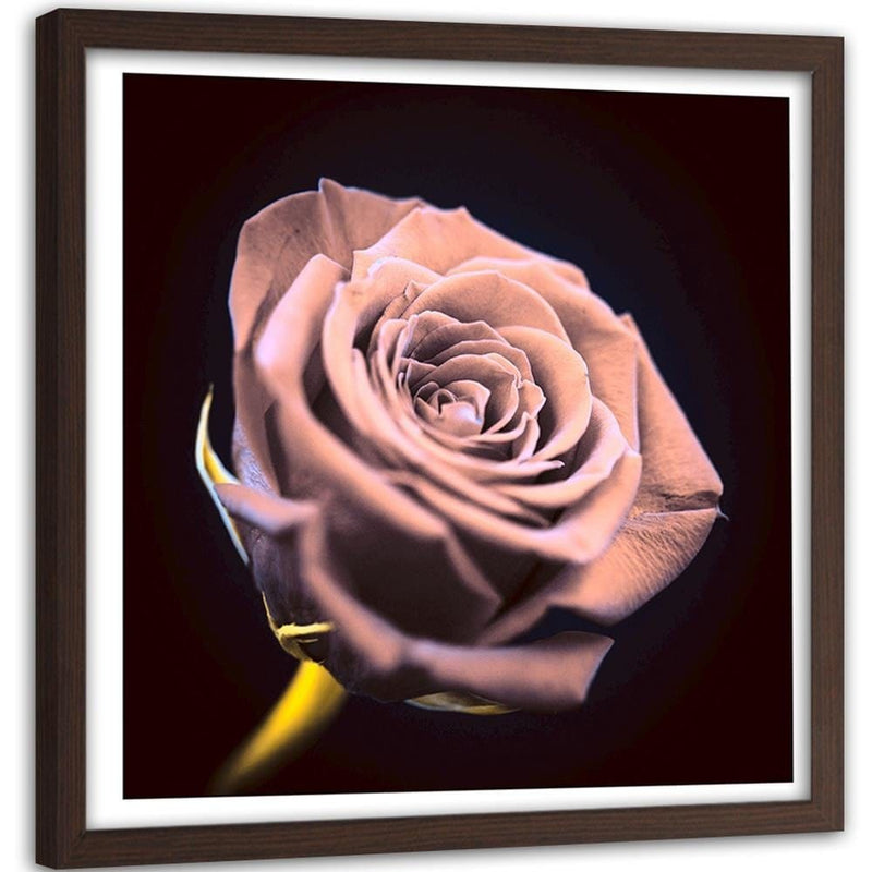 Glezna brūnā rāmī - Rose In The Dark  Home Trends DECO