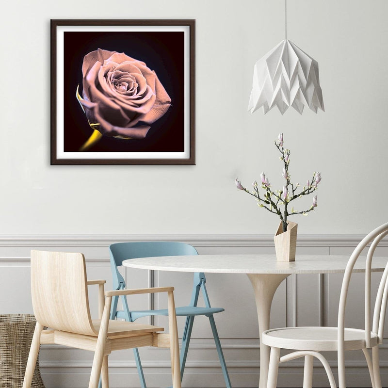 Glezna brūnā rāmī - Rose In The Dark  Home Trends DECO