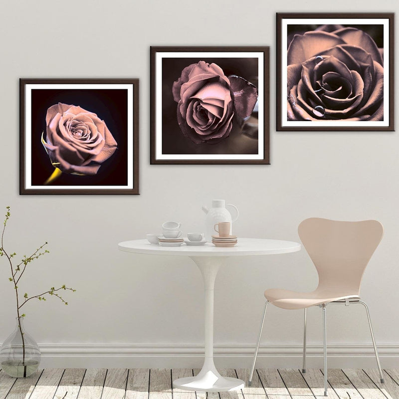 Glezna brūnā rāmī - Rose In The Dark  Home Trends DECO