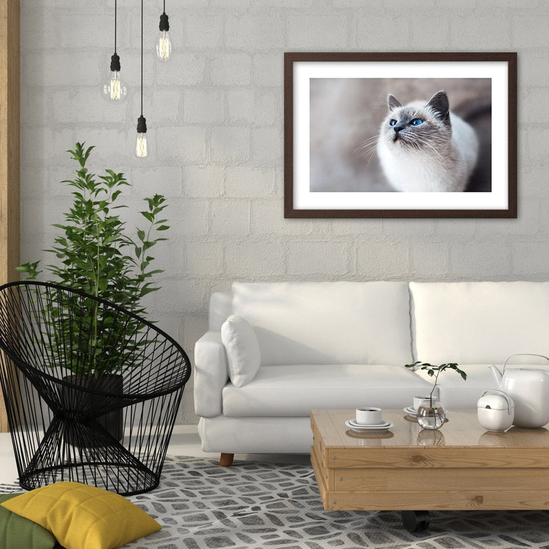 Glezna brūnā rāmī - Siberian Cat  Home Trends DECO