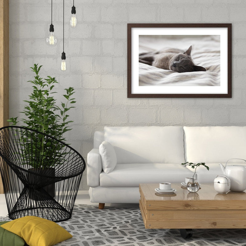 Glezna brūnā rāmī - Sleepy Cat  Home Trends DECO