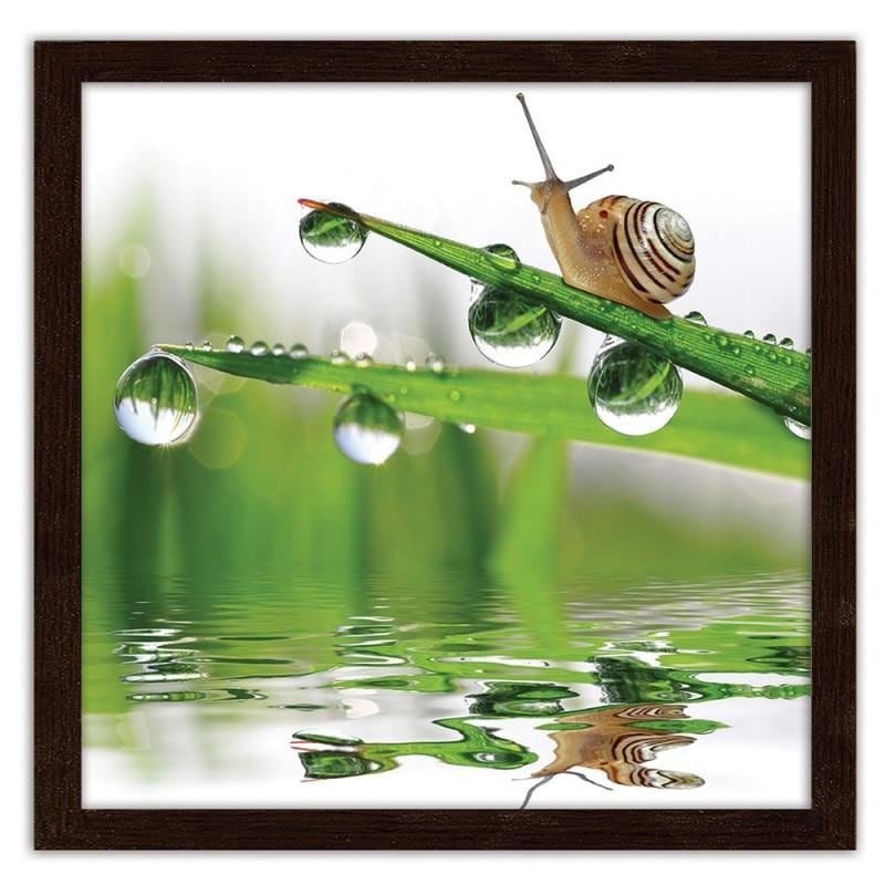 Glezna brūnā rāmī - Snail on sprinkled grass  Home Trends DECO