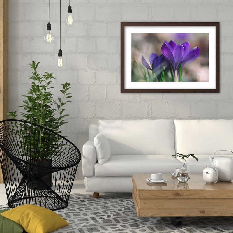 Glezna brūnā rāmī - Spring Crocuses  Home Trends DECO