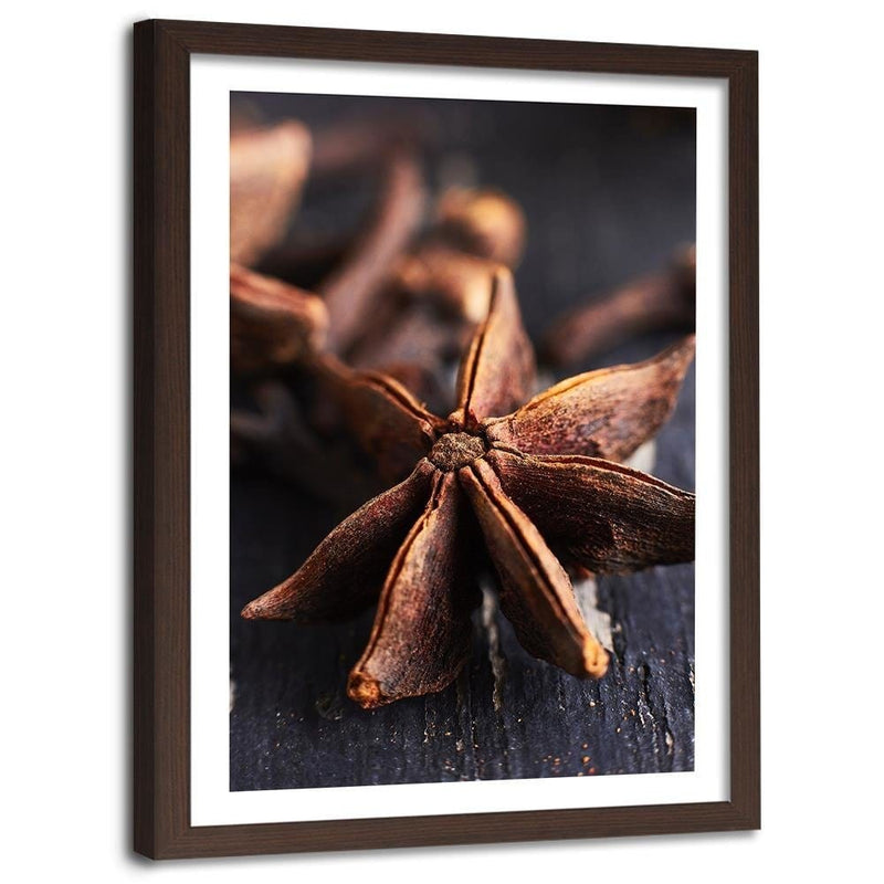 Glezna brūnā rāmī - Star Anise  Home Trends DECO