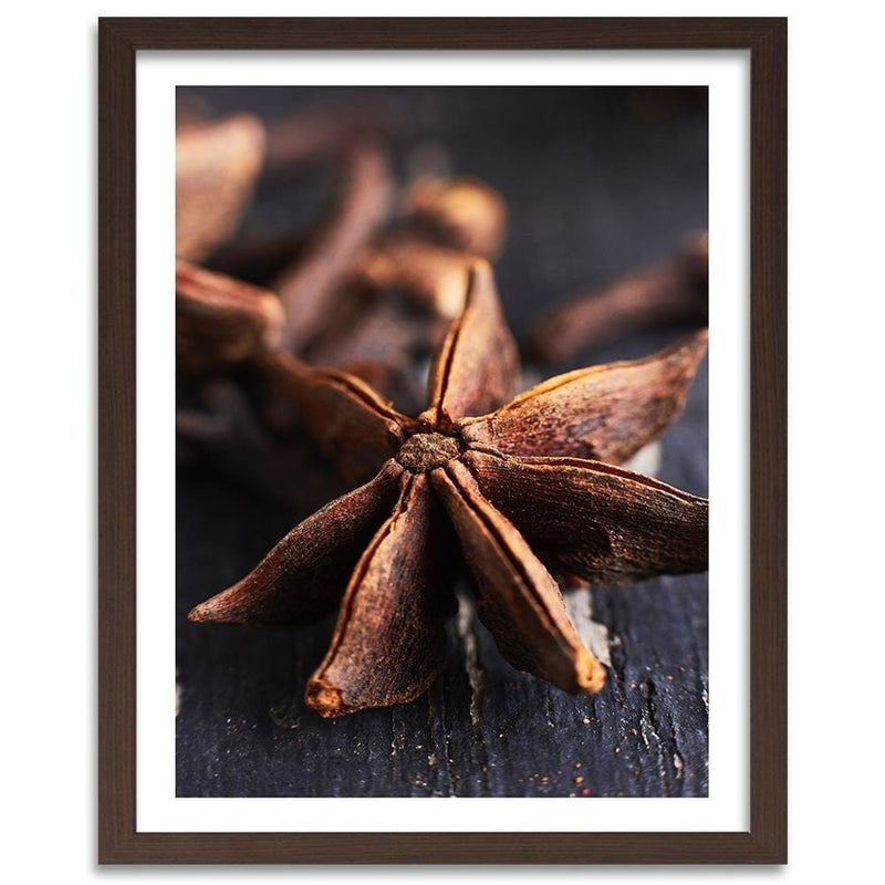 Glezna brūnā rāmī - Star Anise  Home Trends DECO