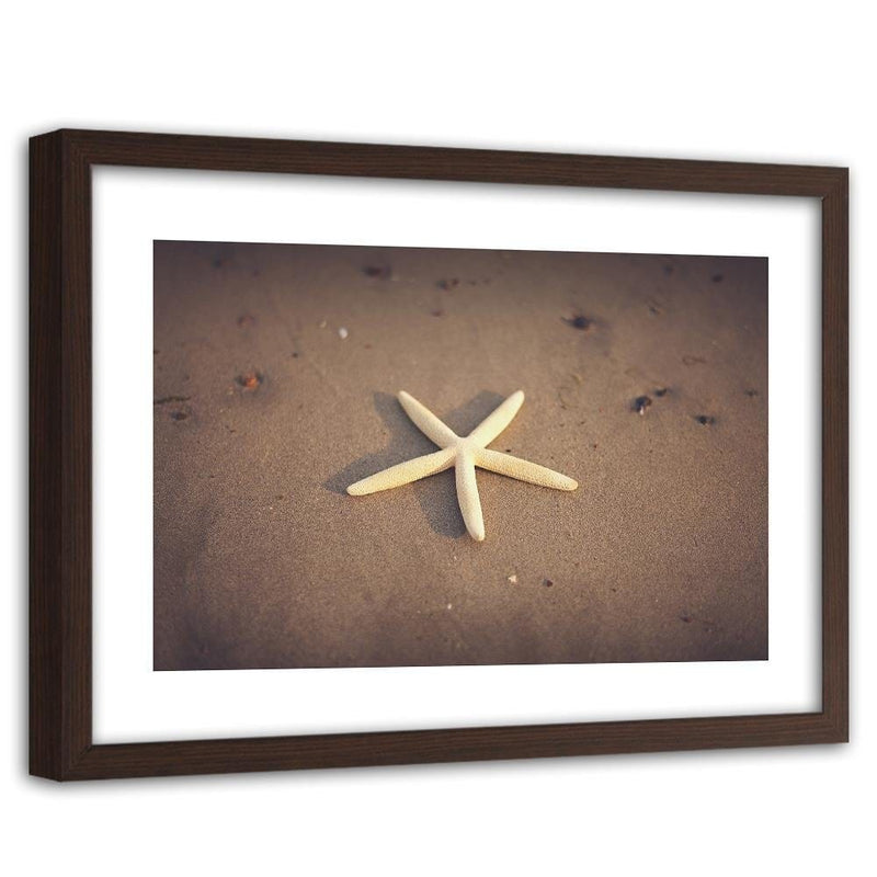 Glezna brūnā rāmī - Starfish  Home Trends DECO