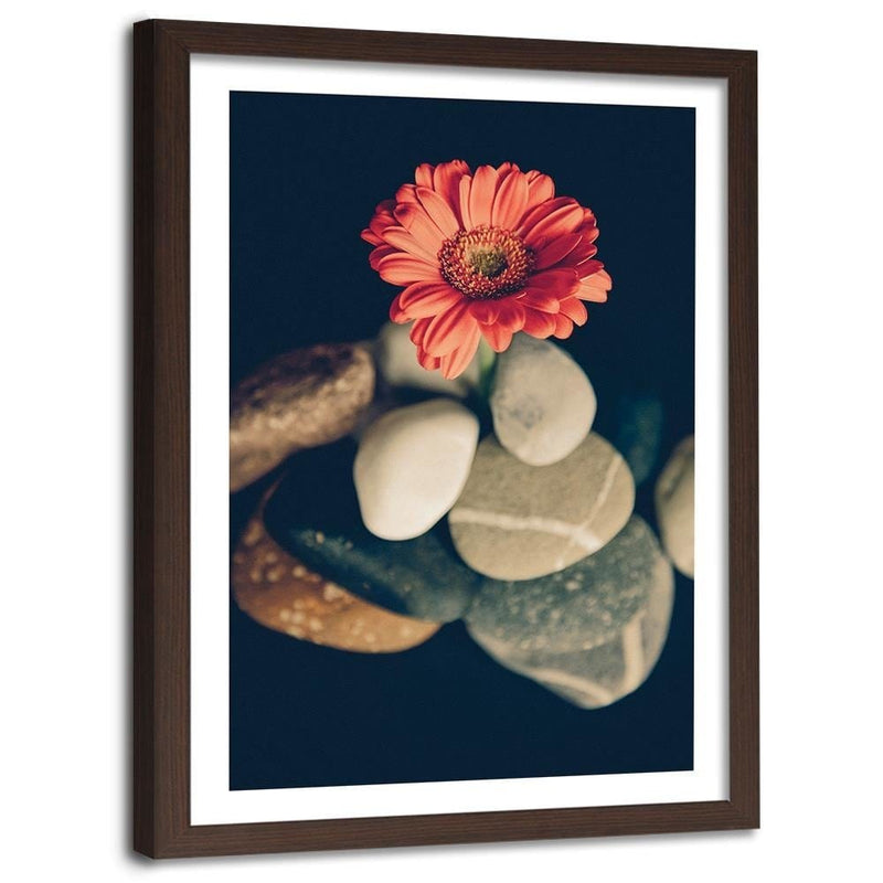 Glezna brūnā rāmī - Stones And Red Flower  Home Trends DECO