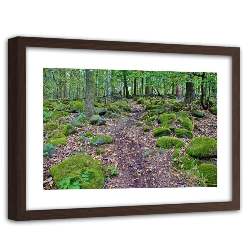 Glezna brūnā rāmī - Stones Covered With Moss  Home Trends DECO