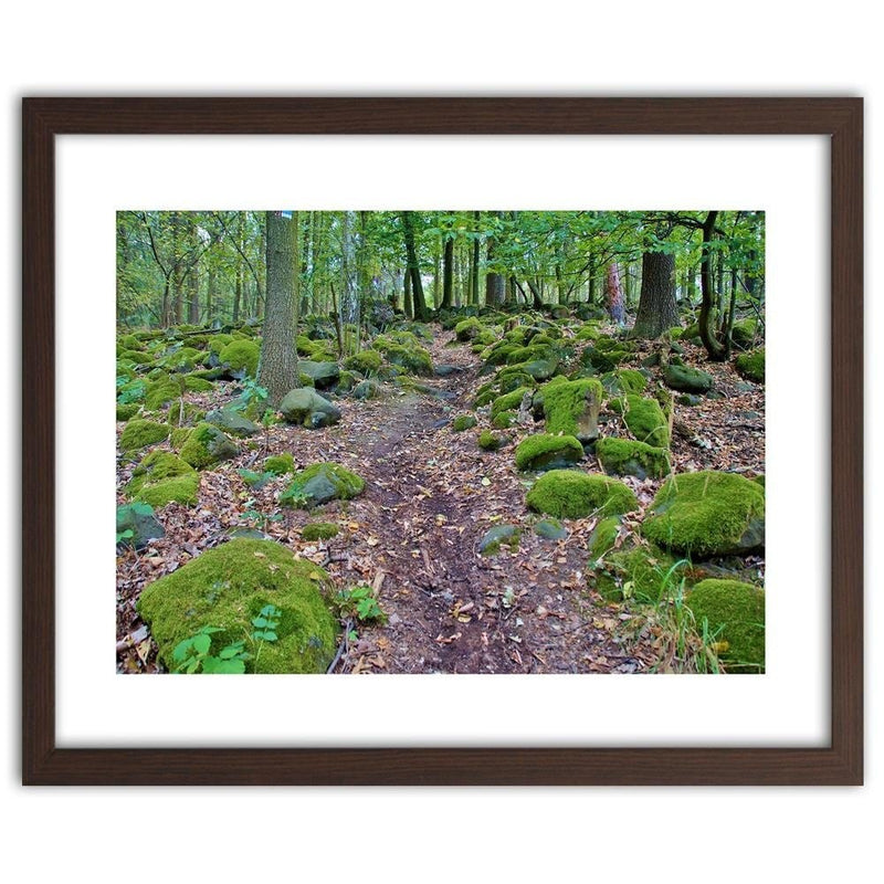 Glezna brūnā rāmī - Stones Covered With Moss  Home Trends DECO