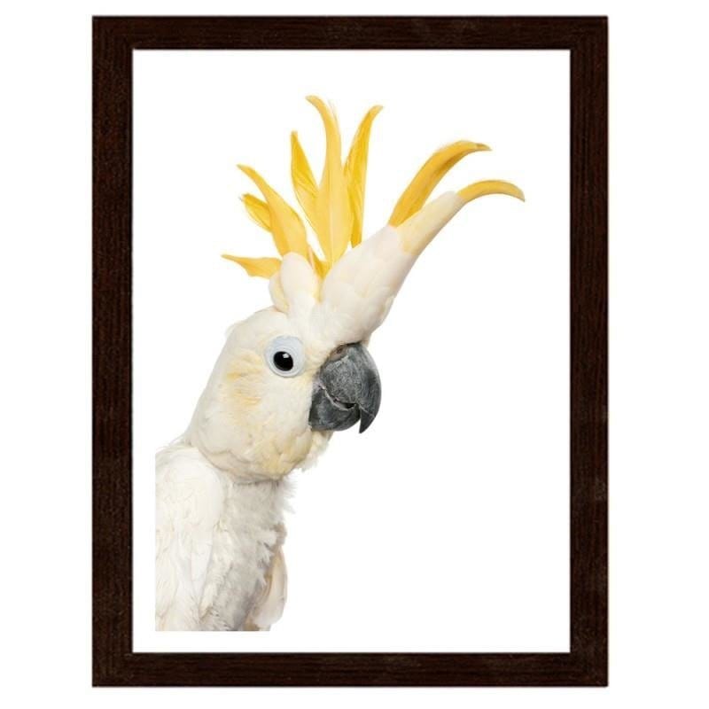 Glezna brūnā rāmī - Sulphur-crested cockatoos  Home Trends DECO