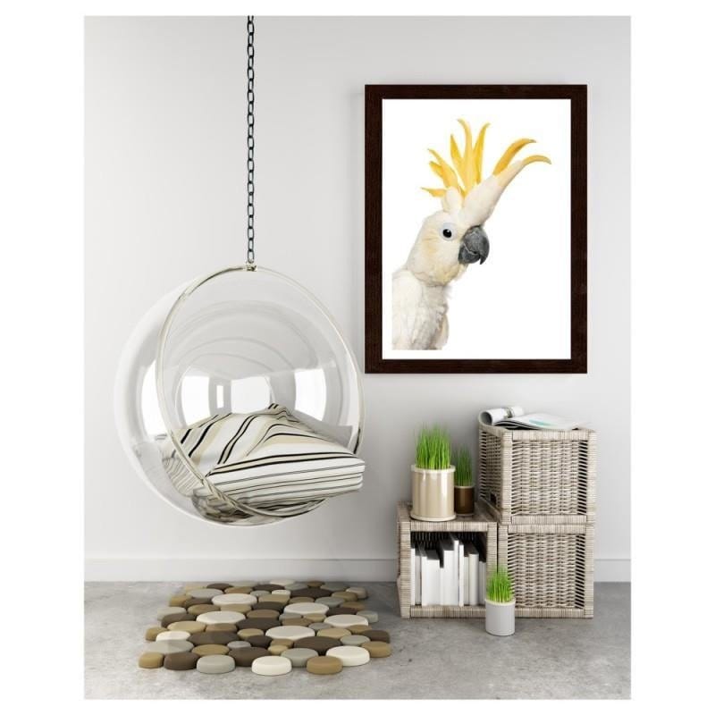 Glezna brūnā rāmī - Sulphur-crested cockatoos  Home Trends DECO