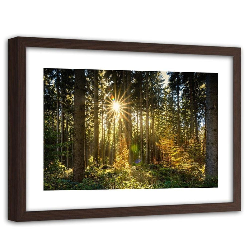 Glezna brūnā rāmī - Sun In The Forest  Home Trends DECO