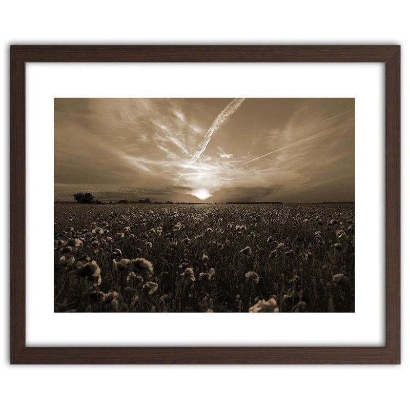 Glezna brūnā rāmī - Sunset Over A Field Poppy 1  Home Trends DECO