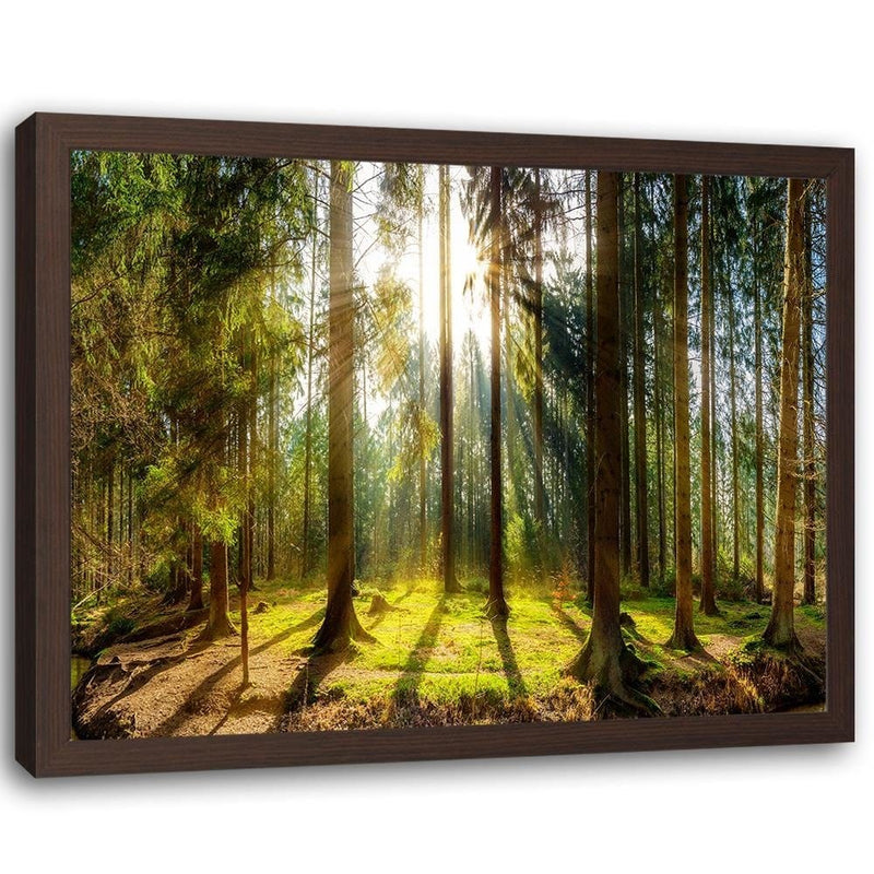 Glezna brūnā rāmī - Sunshine Behind The Trees  Home Trends DECO