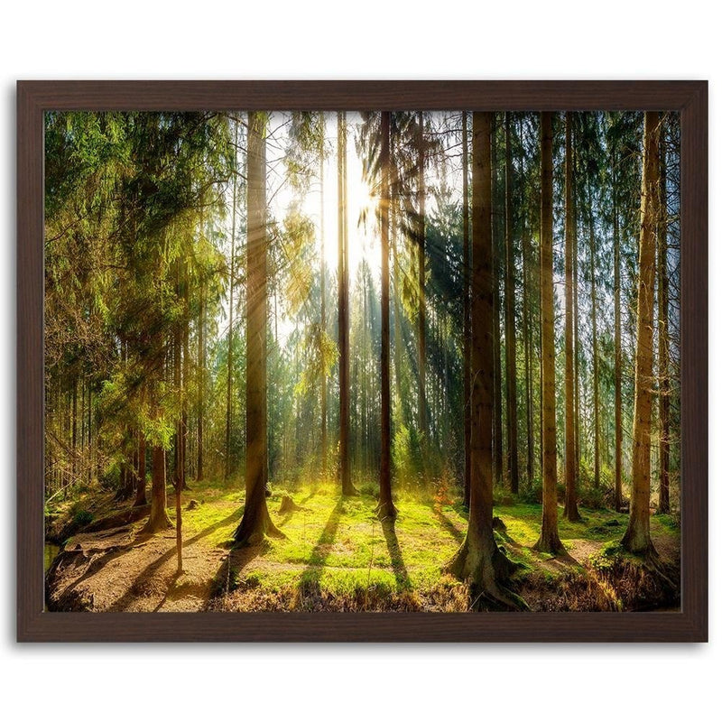 Glezna brūnā rāmī - Sunshine Behind The Trees  Home Trends DECO