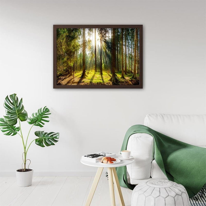 Glezna brūnā rāmī - Sunshine Behind The Trees  Home Trends DECO