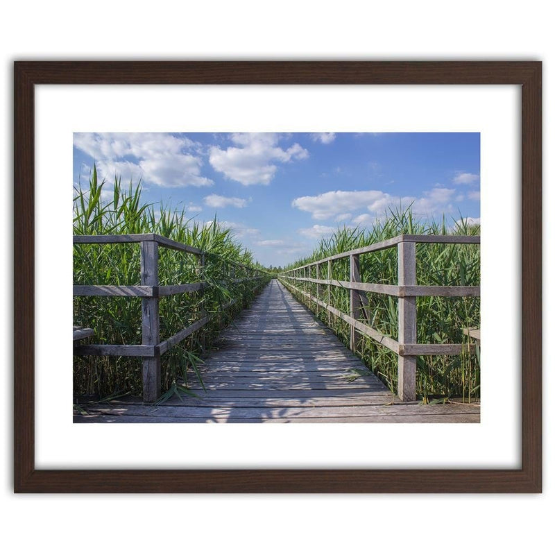 Glezna brūnā rāmī - The Bridge In Green Reeds  Home Trends DECO