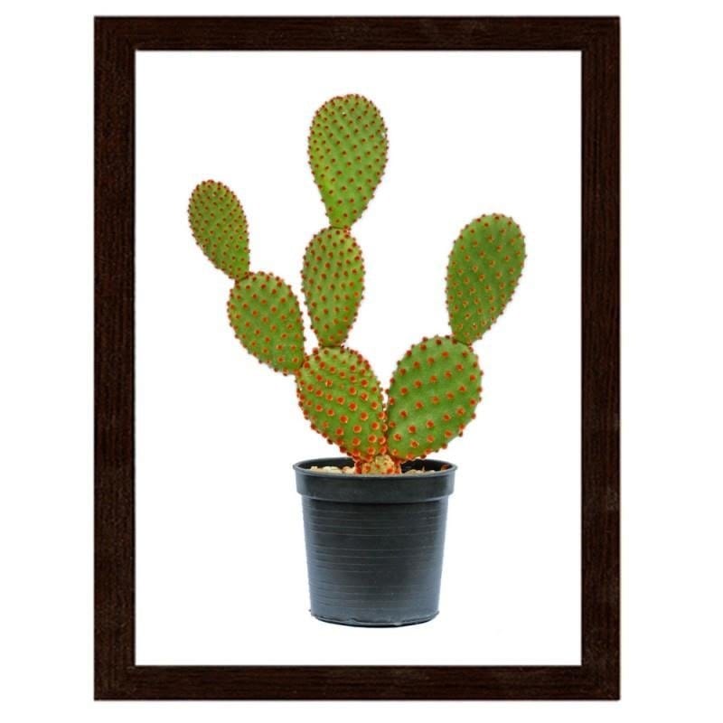 Glezna brūnā rāmī - The cactus in the pot  Home Trends DECO