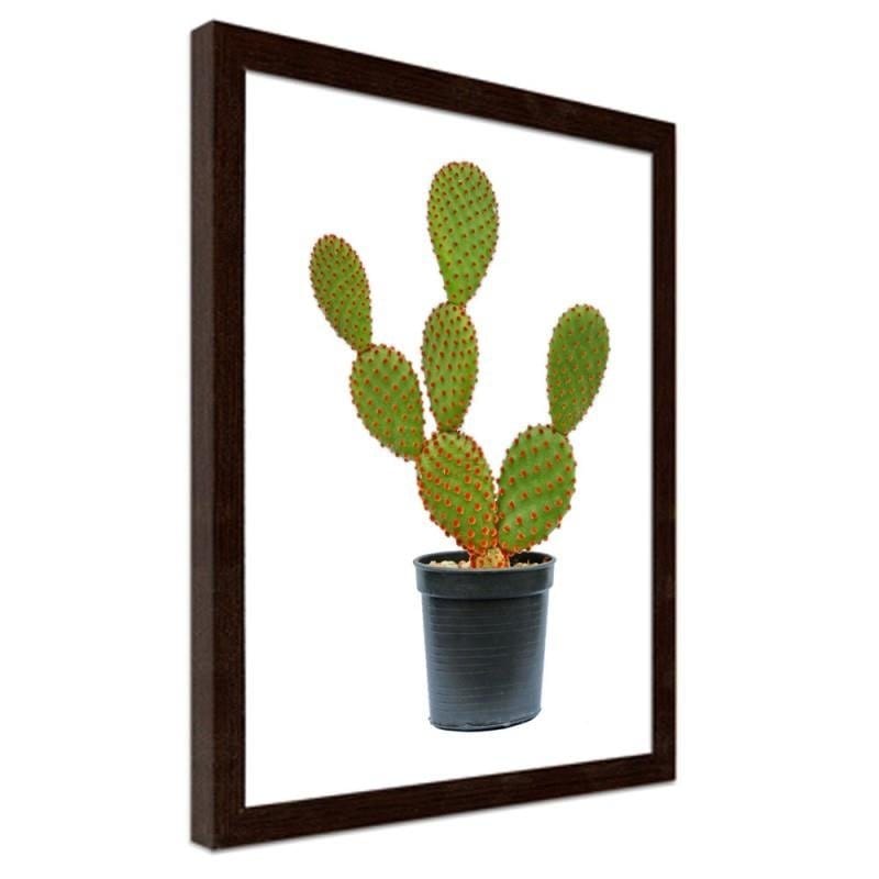 Glezna brūnā rāmī - The cactus in the pot  Home Trends DECO