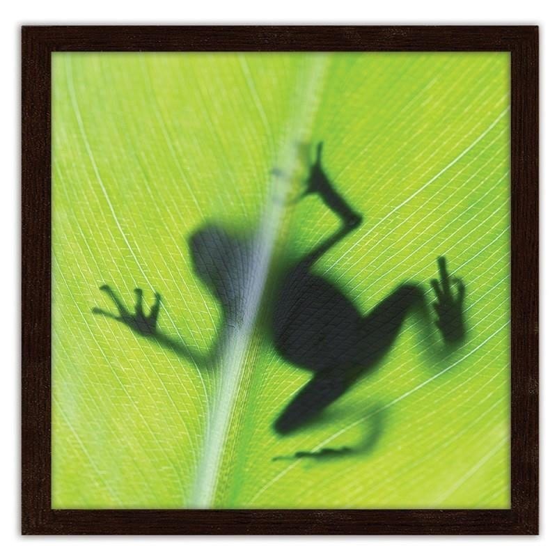 Glezna brūnā rāmī - The frog on the green leaf  Home Trends DECO