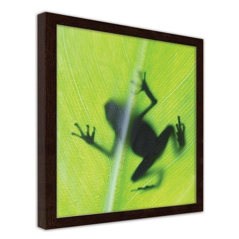 Glezna brūnā rāmī - The frog on the green leaf  Home Trends DECO