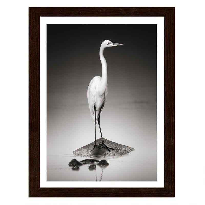 Glezna brūnā rāmī - The heron on the hippopotamus  Home Trends DECO