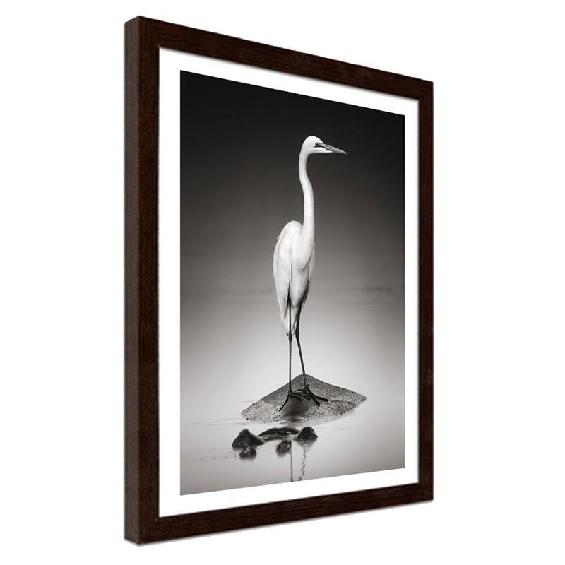 Glezna brūnā rāmī - The heron on the hippopotamus  Home Trends DECO