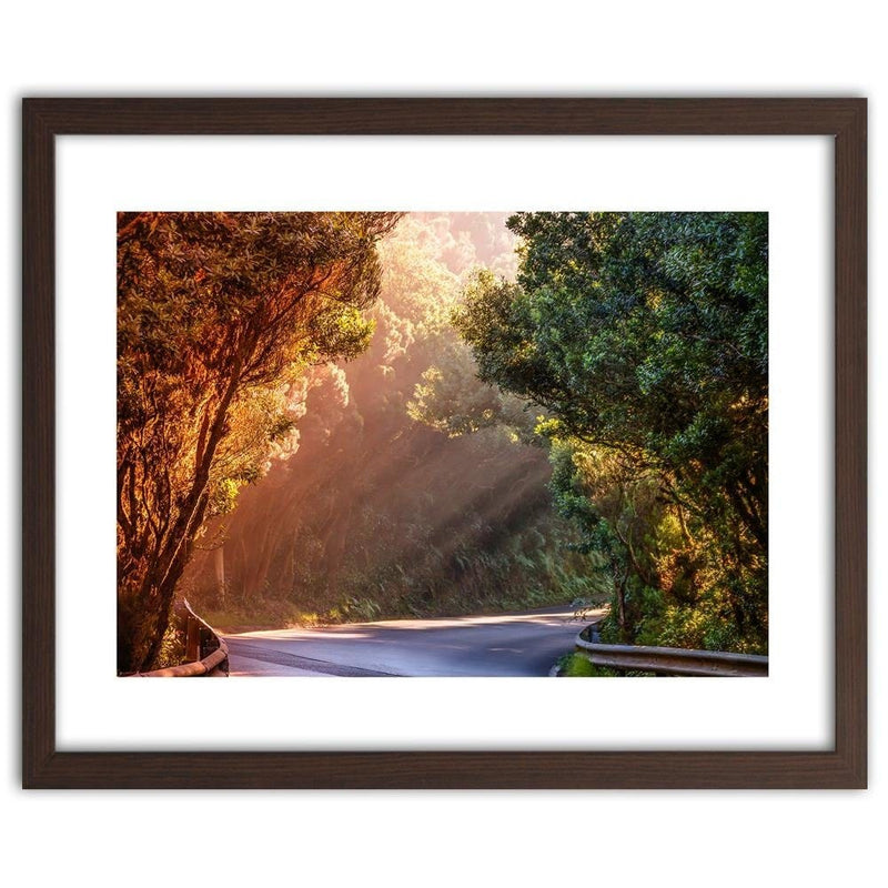 Glezna brūnā rāmī - The Rays Of The Sun On The Forest Road  Home Trends DECO