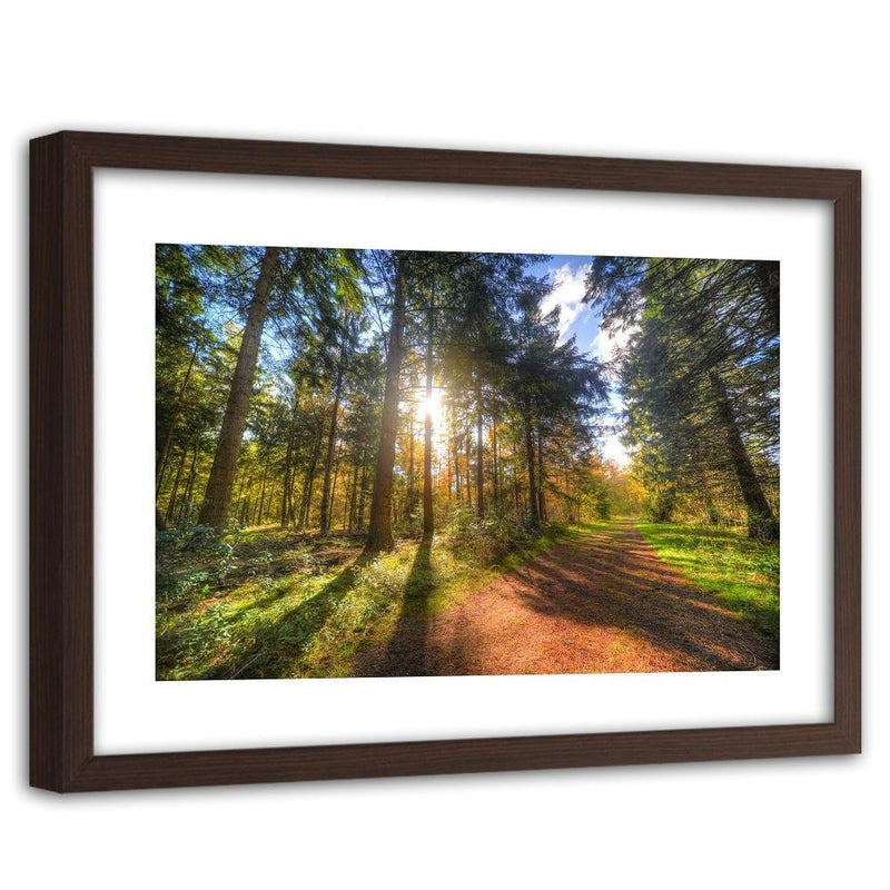 Glezna brūnā rāmī - The Sun Among The Trees  Home Trends DECO