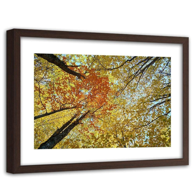 Glezna brūnā rāmī - The Tops Of The Trees In Autumn  Home Trends DECO