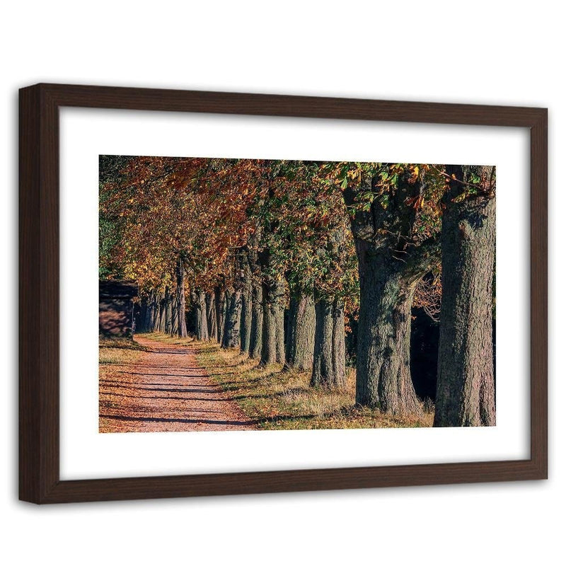 Glezna brūnā rāmī - Trees In The Park In Autumn  Home Trends DECO