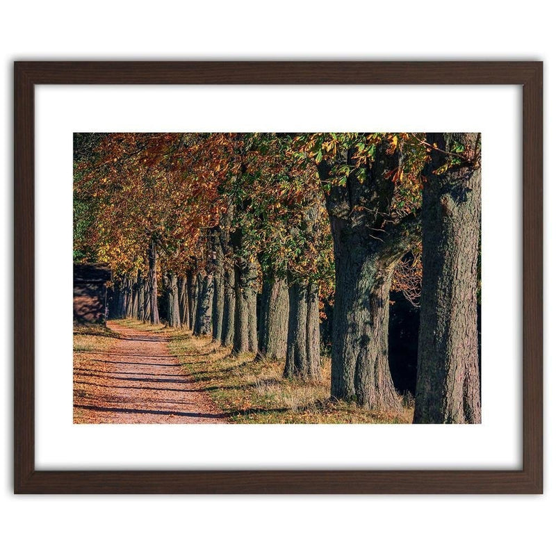 Glezna brūnā rāmī - Trees In The Park In Autumn  Home Trends DECO