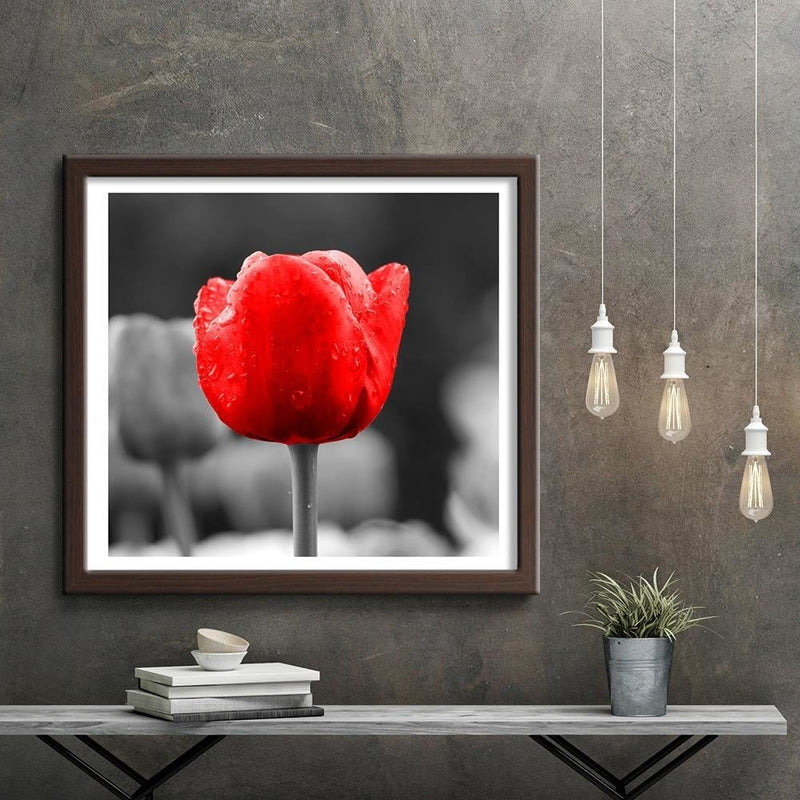 Glezna brūnā rāmī - Tulip In Red  Home Trends DECO