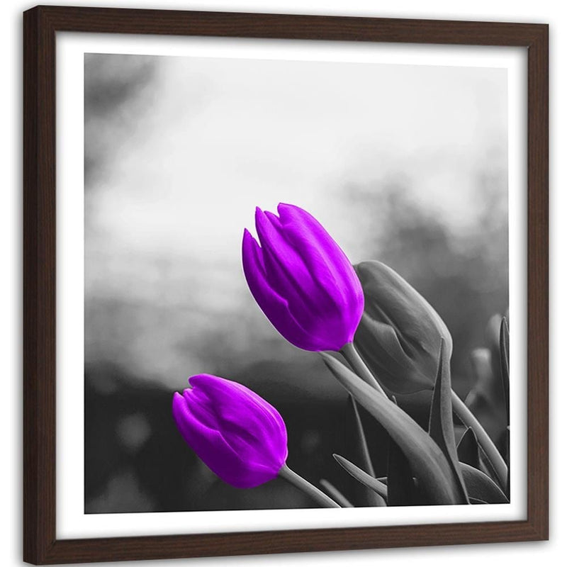 Glezna brūnā rāmī - Two Purple Tulips  Home Trends DECO