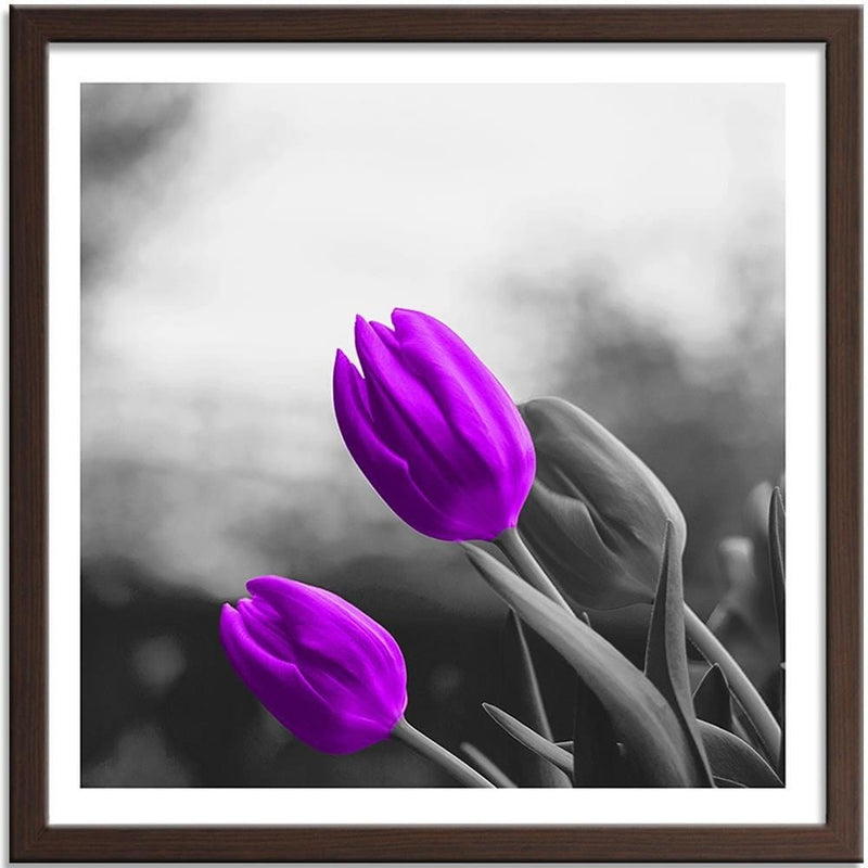 Glezna brūnā rāmī - Two Purple Tulips  Home Trends DECO