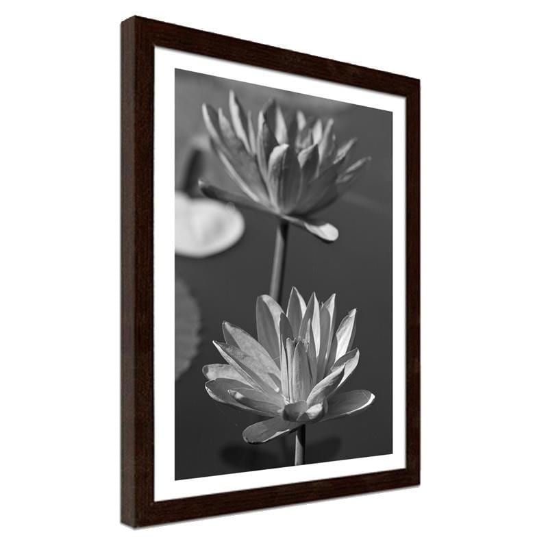 Glezna brūnā rāmī - Two water lilies  Home Trends DECO