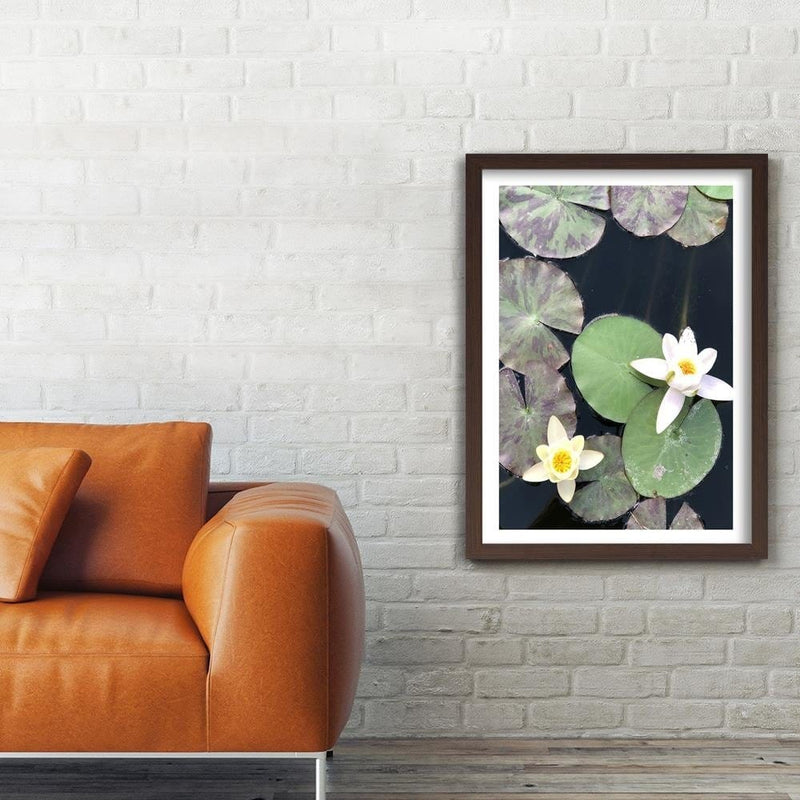 Glezna brūnā rāmī - Two Water Lilies  Home Trends DECO