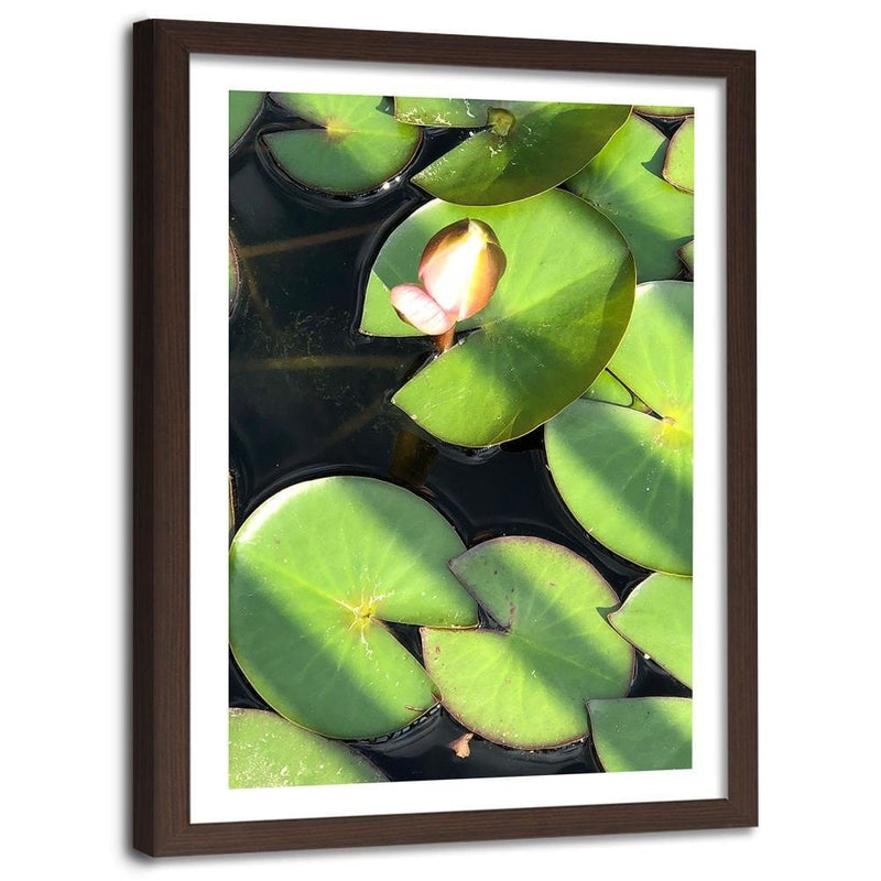 Glezna brūnā rāmī - Water Lily Bud  Home Trends DECO